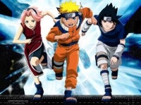 team 7 